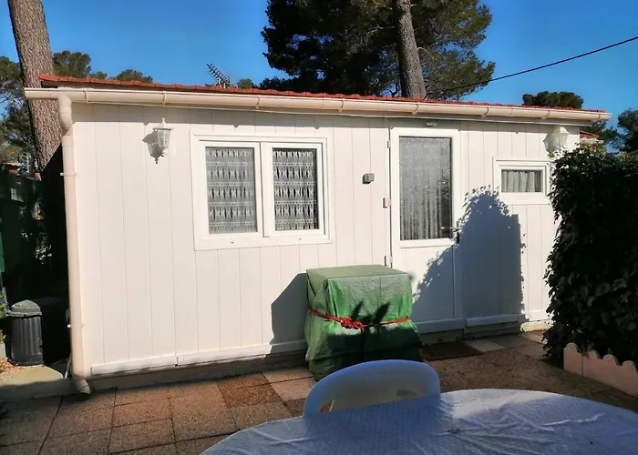 Sous Le Soleil De Provence