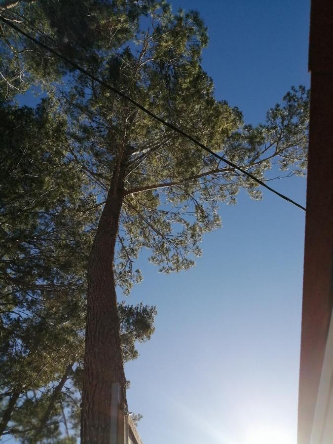 Sous Le Soleil De Provence